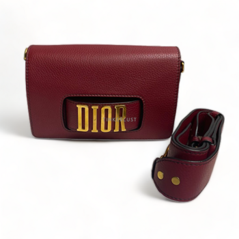 Diorevolution bag online